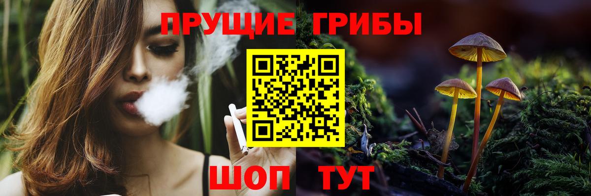 где купить наркоту  Вход с VPN  Пыть-Ях  Псилоцибиновые грибы мицелий  Псилоцибиновые грибы прущие грибы 