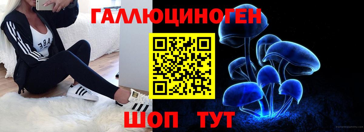 Галлюциногенные грибы Cubensis Пыть-Ях